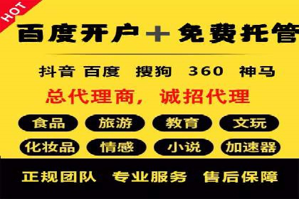 SEM外包公司案例：助力企业拓展海外市场